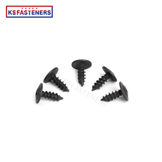 Black Phosplated Truss Waferhead Tonillos 304stainless Steel Cross Pan Head Self Tapping Screws