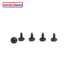 Black Phosplated Truss Waferhead Tonillos 304stainless Steel Cross Pan Head Self Tapping Screws