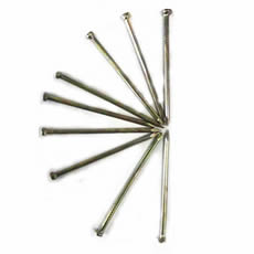 Bottom Price Galvanized Concrete Nails White Zinc Steel Nail Sharp Point Hardened