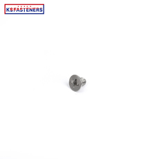 China Hot Selling Stainless Steel Washer Phillips Screw Flat Head