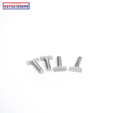 Custom T-Bolt Supplier Stainless Steel Rectangular Square Head T-Bolt T-Bolt Screws