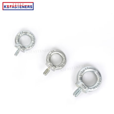 Direct Sale Heavy Duty Grade 4.8 8.8 M30 Din580 Hook Ring Shape Lifting Eye Bolt