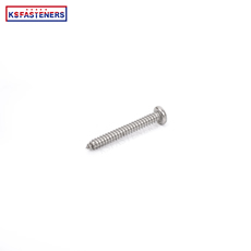 Export self-tapping pan head screw Cross recessed stainless steel round head screw