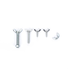 Factory supply wing bolt ss with low-cost/high-strength various types of  stainless steel 304/316 wing bolts