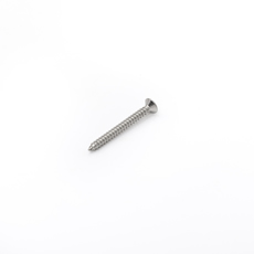 High quality Flat Head Stainless Steel 304 cross recessed countersunk head self-tapping screw