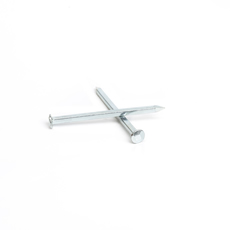 Hot Sale and High Quality White Galvanized Square Boat Nail from China Screw Manufacturer for Boat Building