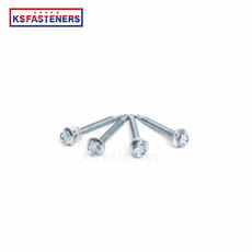 Indonesia Market White Zinc Hexagon Head Self Drilling Metal Screw For Roofing Board washer head self-drilling screw