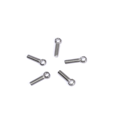 Made in China Fastener Wholesale Stainless Steel Mechanical Engineering Eyelet Bolts Swing Bolt with Hole