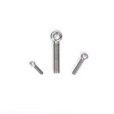 Made in China Fastener Wholesale Stainless Steel Mechanical Engineering Eyelet Bolts Swing Bolt with Hole