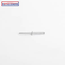 Popular promotional Industrial grade custom rivets screw rivet