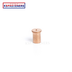 Screw Fastener Manufacturer Welded Red Copper Spot Welded Stud Bolts