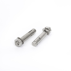 Stainless Steel Expansion Anchor Bolt Wedge for Elevator Roof Expansion Screw Machine Screw Anchor Bolt